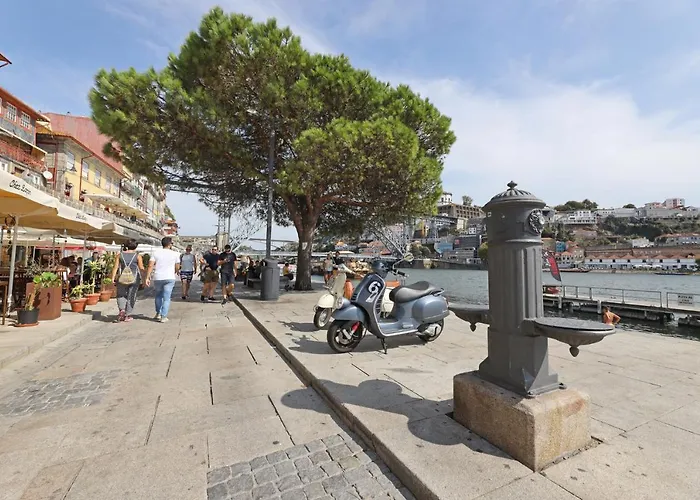 Flh Trendy Flat بورتو